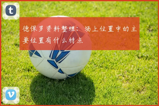 德保罗资料整理：场上位置中的主要位置有什么特点