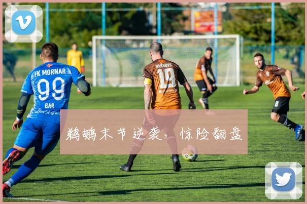 鹈鹕末节逆袭，惊险翻盘