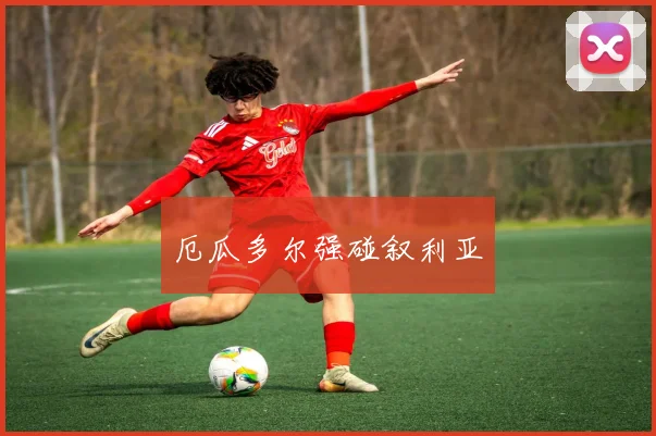 厄瓜多尔强碰叙利亚