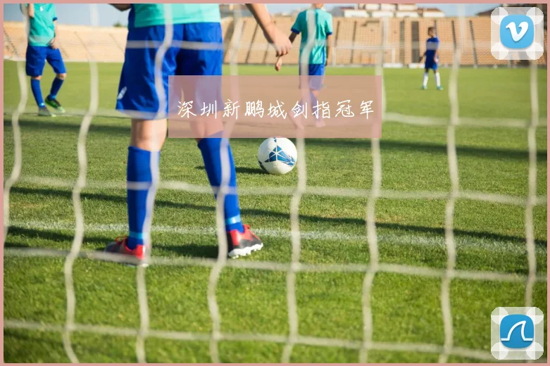 深圳新鹏城剑指冠军