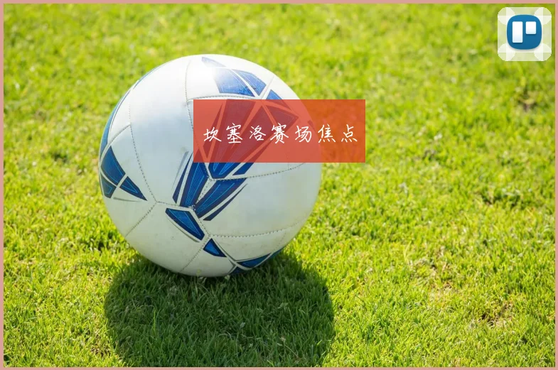 坎塞洛赛场焦点