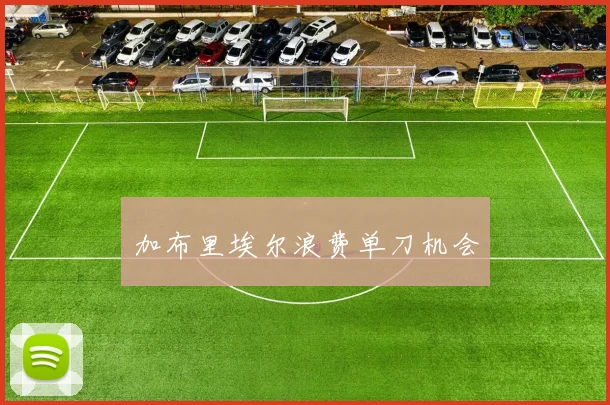加布里埃尔浪费单刀机会