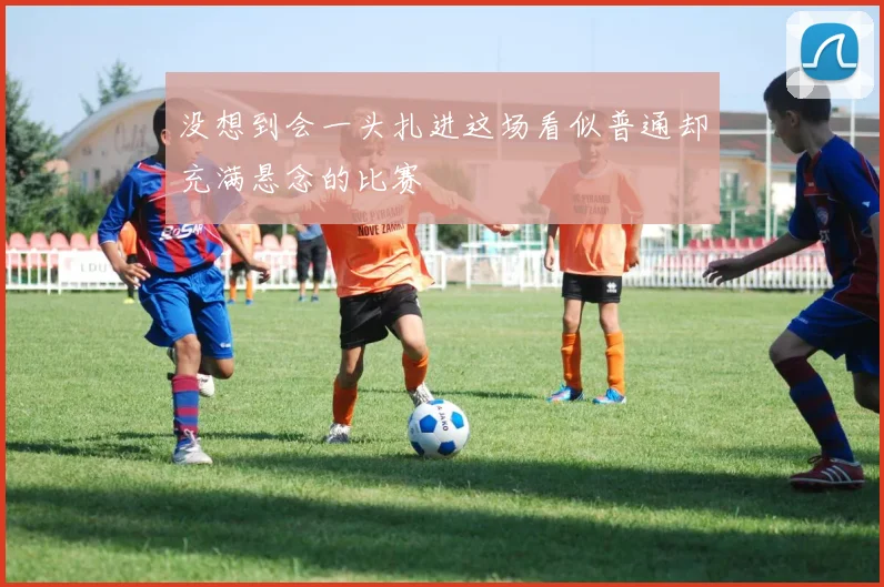 没想到会一头扎进这场看似普通却充满悬念的比赛