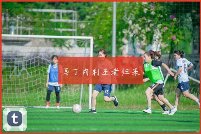 马丁内利王者归来