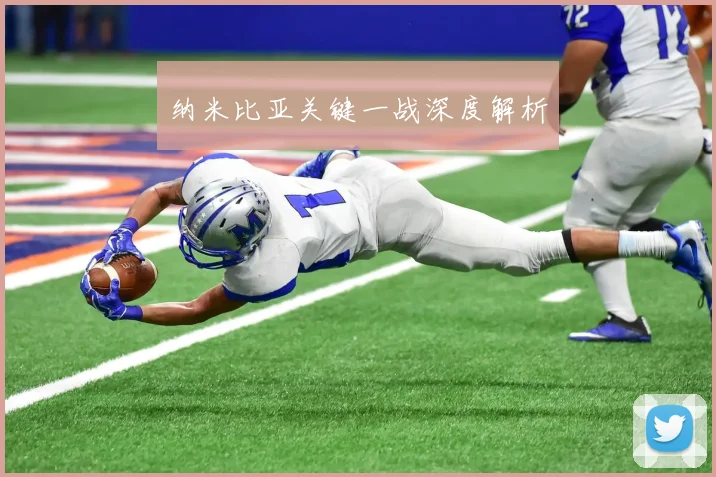纳米比亚关键一战深度解析