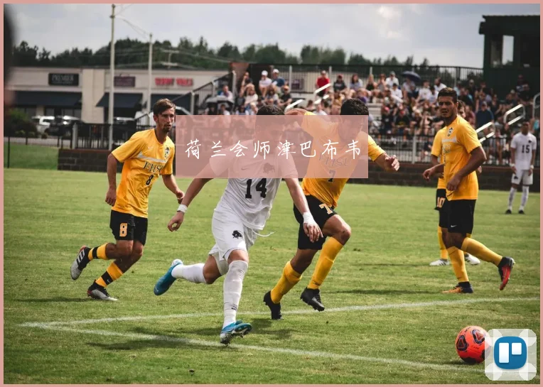 荷兰会师津巴布韦