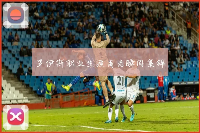 罗伊斯职业生涯高光瞬间集锦