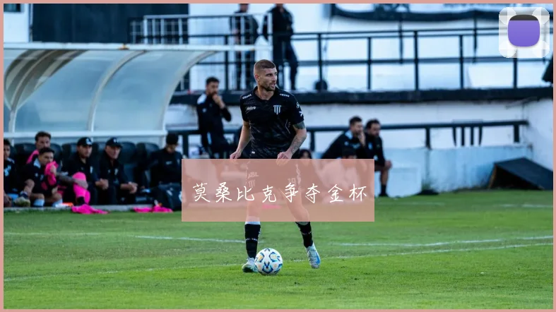 莫桑比克争夺金杯