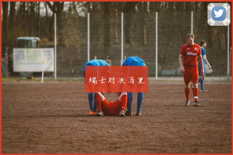 瑞士对决马里