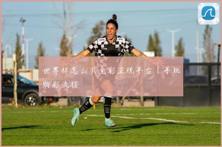 世界杯怎么买竞彩正规平台｜手机购彩流程
