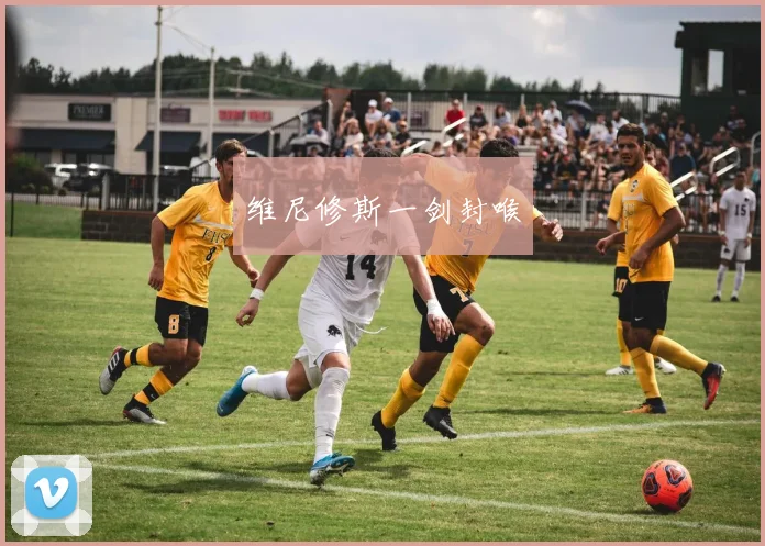 维尼修斯一剑封喉