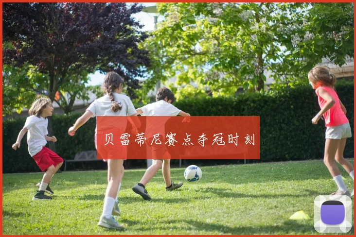 贝雷蒂尼赛点夺冠时刻
