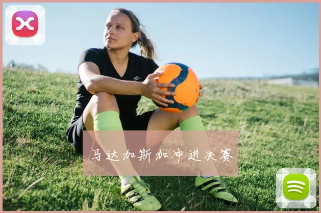 马达加斯加冲进决赛