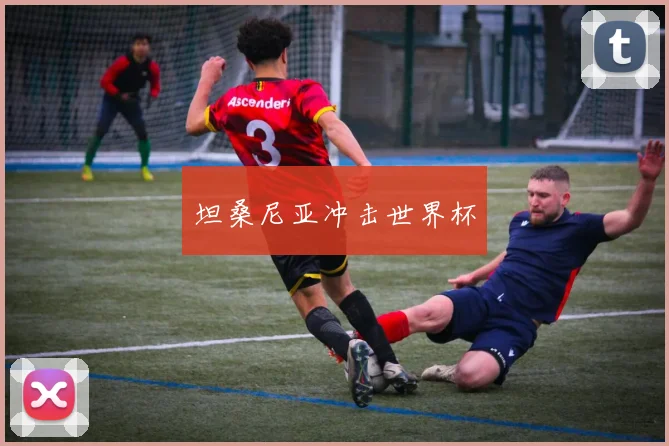 坦桑尼亚冲击世界杯