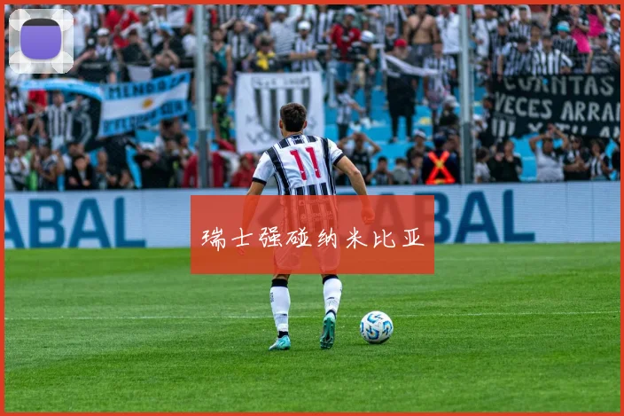 瑞士强碰纳米比亚