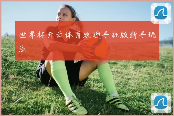 世界杯开云体育欢迎手机版新手玩法