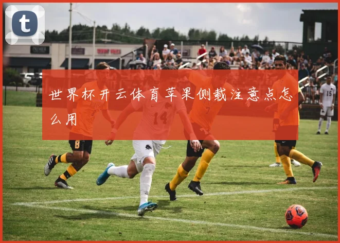 世界杯开云体育苹果侧载注意点怎么用