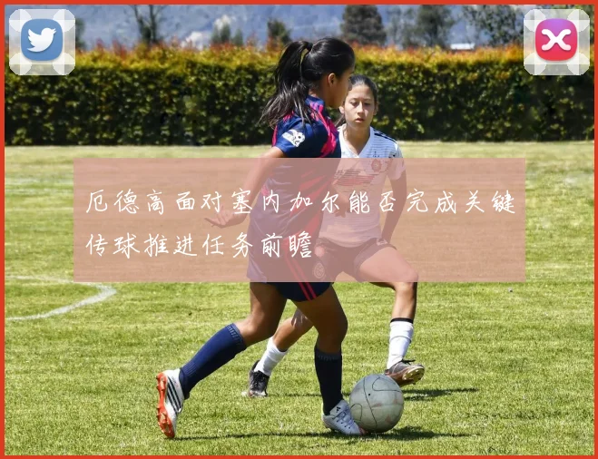 厄德高面对塞内加尔能否完成关键传球推进任务前瞻